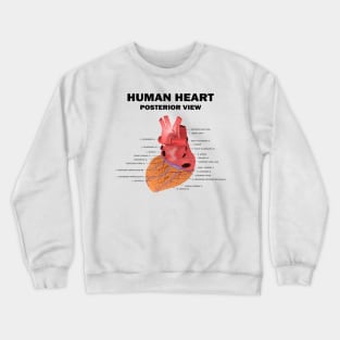 Anatomical Heart Human - Human Heart Posterior View Crewneck Sweatshirt